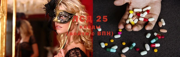 прущие грибы Алексеевка